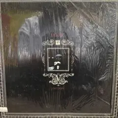 未開封】B.I.G. JOE / LOST DOPE 12インチ レコード - メルカリ