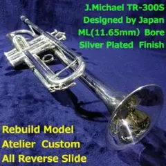 Item thumbnail for item 67e34b50-d760-4770-9f2b-d71ac8d16621