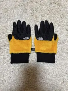 THE NORTH FACE デナリイーチップグローブ　ノース　手袋