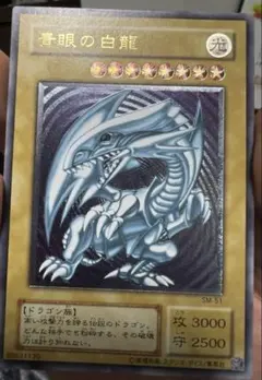 m41010409589_1.jpg?1772463545