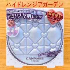 キャンメイクイルミネイティングフィニッシュパウダーハイドレンジアガーデン 青限定