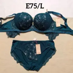 E75　グリーン　アモスタイル　ホープブラ　ドリーミーポインセチア1374