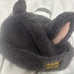 ディズニーシー　ファンキャップ（ピーターパン ロストキッズ ）