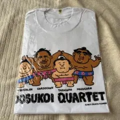 Tシャツ 新品 90s 琴光喜 KOTOMOTSUKI 相撲 L 未使用 緑 - メルカリ