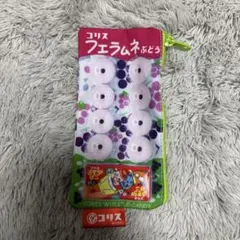 フエラムネ　ポーチ