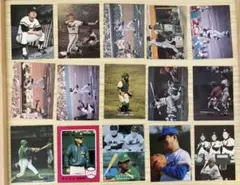 カルビー プロ野球カード 野村克也 1970年代 まとめ売り 15枚