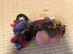 バケッチャ ぬいぐるみ ハロウィン 激レア - メルカリ