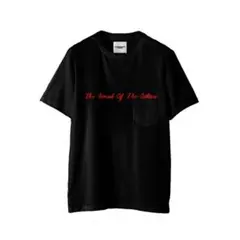 2025年最新】TAKAHIROMIYASHITATheSoloist. メンズ Tシャツの