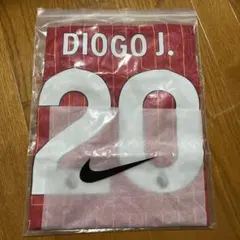 Item thumbnail for item 03882284-e0b4-43e8-bc9e-73d809dbeca8