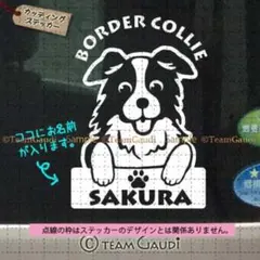 ボーダーコリー No.1　 名前入 カッティング　ステッカー ドッグインカー　犬