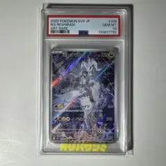 2026年最新】nのレシラムar psa10の人気アイテム - メルカリ