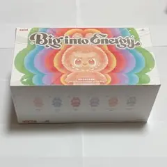 (正規品・未開封) ラブブ Big into Energy アソートボックス