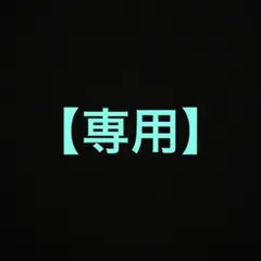 【専用】