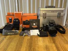 2026年最新】sony α900の人気アイテム - メルカリ