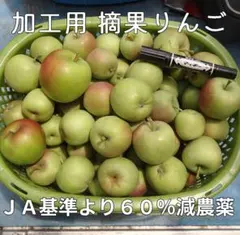 【特価】加工用　摘果りんご　8.7キロ以上　長野県産　送料無料地域限定　44のサムネイル