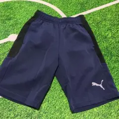 PUMA ネイビー ハーフパンツ