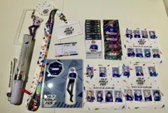 にじさんじ にじフェス2023 加賀美ハヤトセット