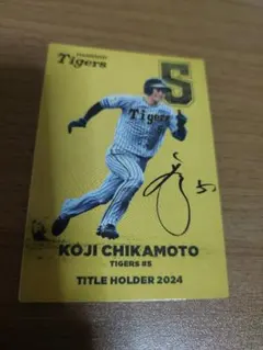 Item thumbnail for item 8fcaa6e0-7cb4-4f39-9aae-3aec68cce20e