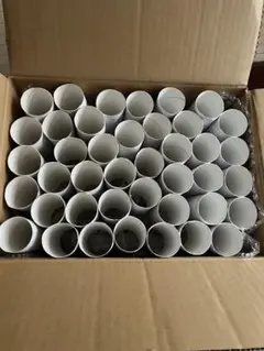 Item thumbnail for item 1c09bf8e-f7f0-490d-9eea-b8f39efcf1cf