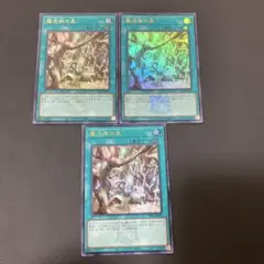 【匿名発送】遊戯王　魔法族の里　ウルトラ　3枚 決闘者伝説　ロゴ