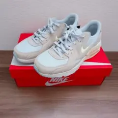 チ*ム様 NIKE AIRMAX EXCEE エアマックスエクシー　24.5cm