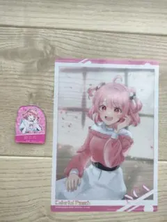 カラフルピーチ のあさんクリアファイル&マグネットセット