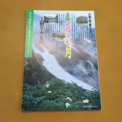 Item thumbnail for item 04b9ccb7-bed8-4ecc-b9ec-a0bee0dd03ef