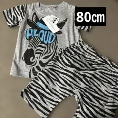 80㎝⭐︎新品セットアップ