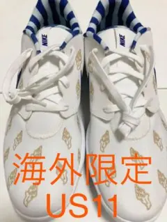 NIKE GOLF ナイキゴルフ　ROCHE G TOUR 海外限定モデル