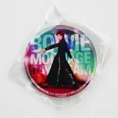 Item thumbnail for item 708c93b2-c26b-4606-a28e-6740d1233840