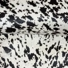 Item thumbnail for item 1ac63124-667e-4ba2-8fa4-75c0a9cf498a