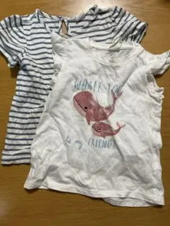 Item thumbnail for item 639cea0b-e4a2-4863-87b2-31e0ed62c40e