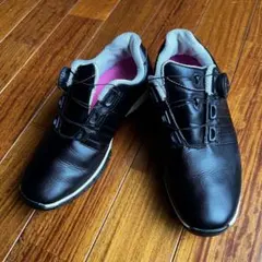 Item thumbnail for item 8cfe6786-b2db-48b0-b2b4-d035a86d7626