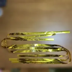 Item thumbnail for item 80032be3-60c6-4997-9ff7-926e1911123b