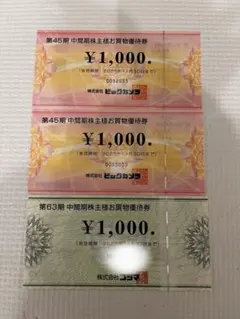 ビックカメラ・コジマ　株主優待券3000円