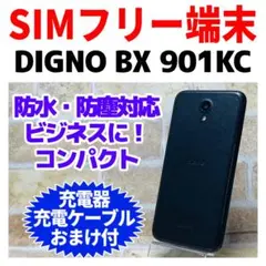 Item thumbnail for item b3ed92db-1631-4296-83ee-3fc265bfcd53