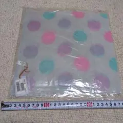 Item thumbnail for item 13d24334-25ad-40b4-8b68-6f86177ee0c1