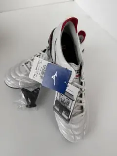 ミズノ モレリアネオ 4 JAPAN MIX 26cm
