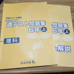 四谷学院 夏期・冬期講習/特訓 通期 共通テスト対策 テキスト 55段階