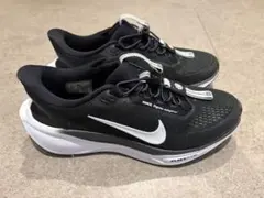 ナイキ ペガサス イージーオン メンズロードランニングシューズ 27.5