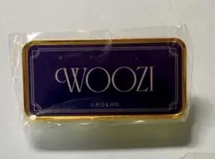 SEVENTEEN museum ウジ ピンズ ピンバッジ