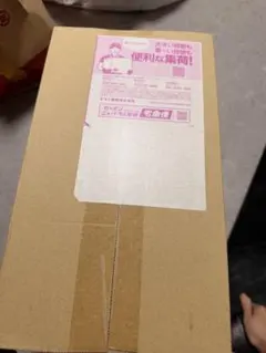 ポケモンセンター トウホクスペシャルBOX 新品未開封