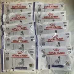 てん様 リクエスト 2点 まとめ商品