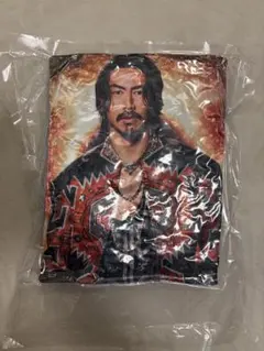 EXILE AKIRA クッション レア 実写