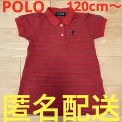 POLO 赤 ストライプ 半袖ポロシャツ　チュニック　ワンピース　120cm〜