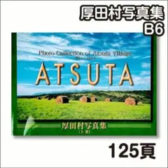 Item thumbnail for item 3639b1a3-17f8-4640-abc1-eadd90e0bc93