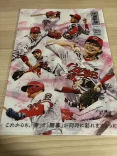 広島東洋カープ　クリアファイル
