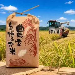 令和7年産 栃木県塩谷町産 コシヒカリ 白米 10kg 農家直送 地下水仕込みのサムネイル