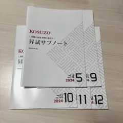SA集 一問一答 KOSUZO 2025年版【3冊セット】 SA集 [一問一答] 2025 KOSUZO - メルカリ