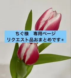ちぐ様専用ページ チューリップ刺繍ボタンセット